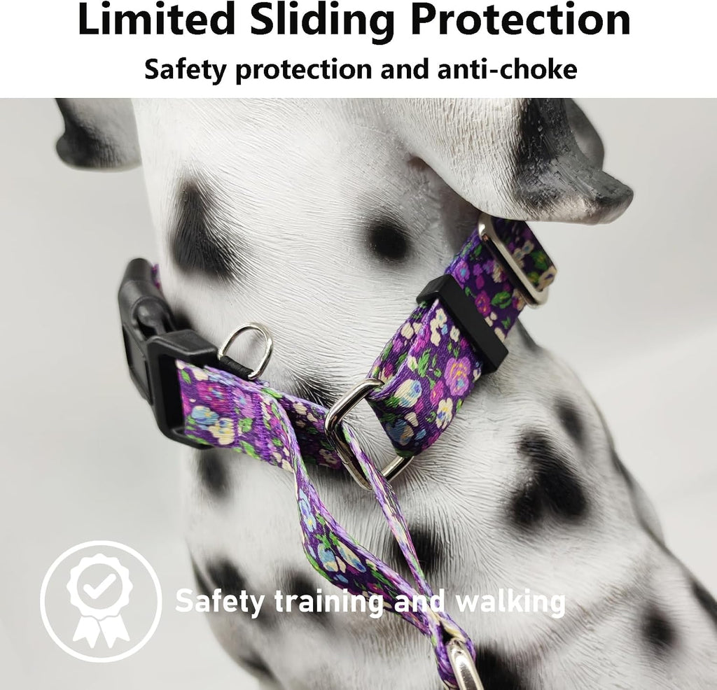 Fidohug premium imported pet collar highlighting the durable stitching and vibrant flower print