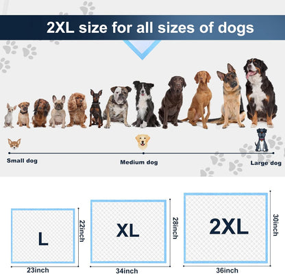 Absorbent pet piddle pads designed for housebreaking puppies and managing senior dog care