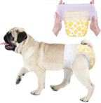 Dono Disposable Pull Up Dog Diapers Female packaging front view showcasing premium pet protection