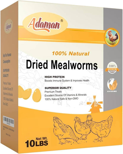 Dried mealworms in hand for bird feeding