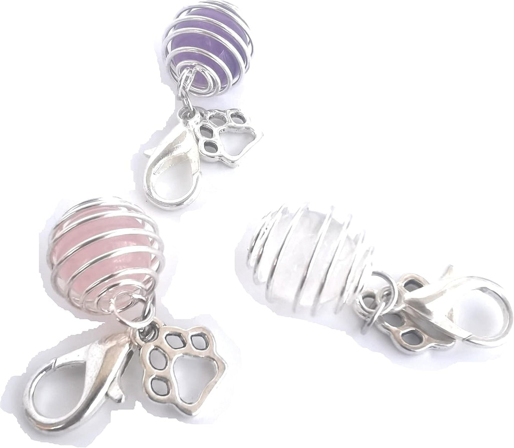 DogTrust crystal pet jewelry attached securely to a durable fabric dog collar ring for daily wear