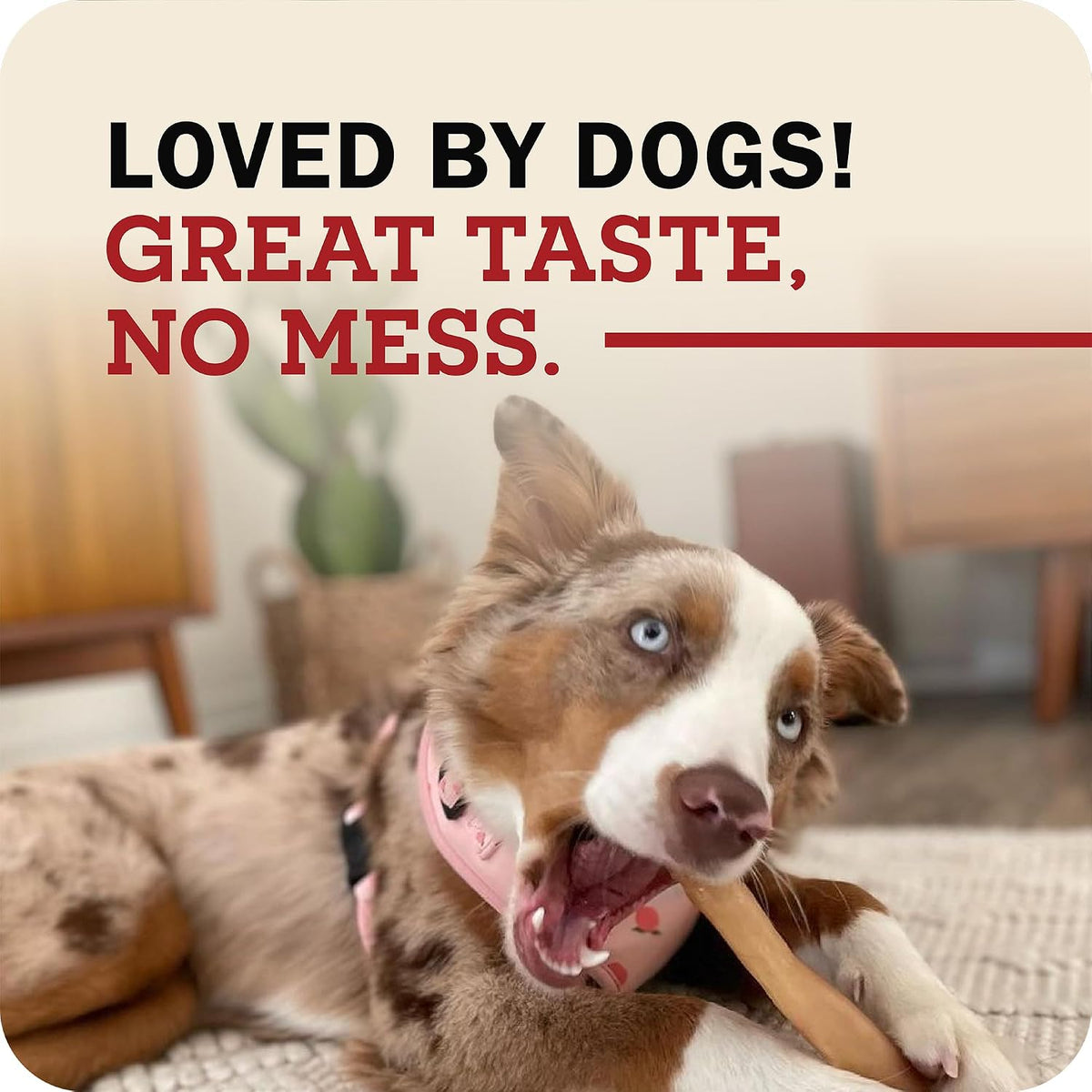 Redbarn authentic imported USA dog chews package contents illustration.