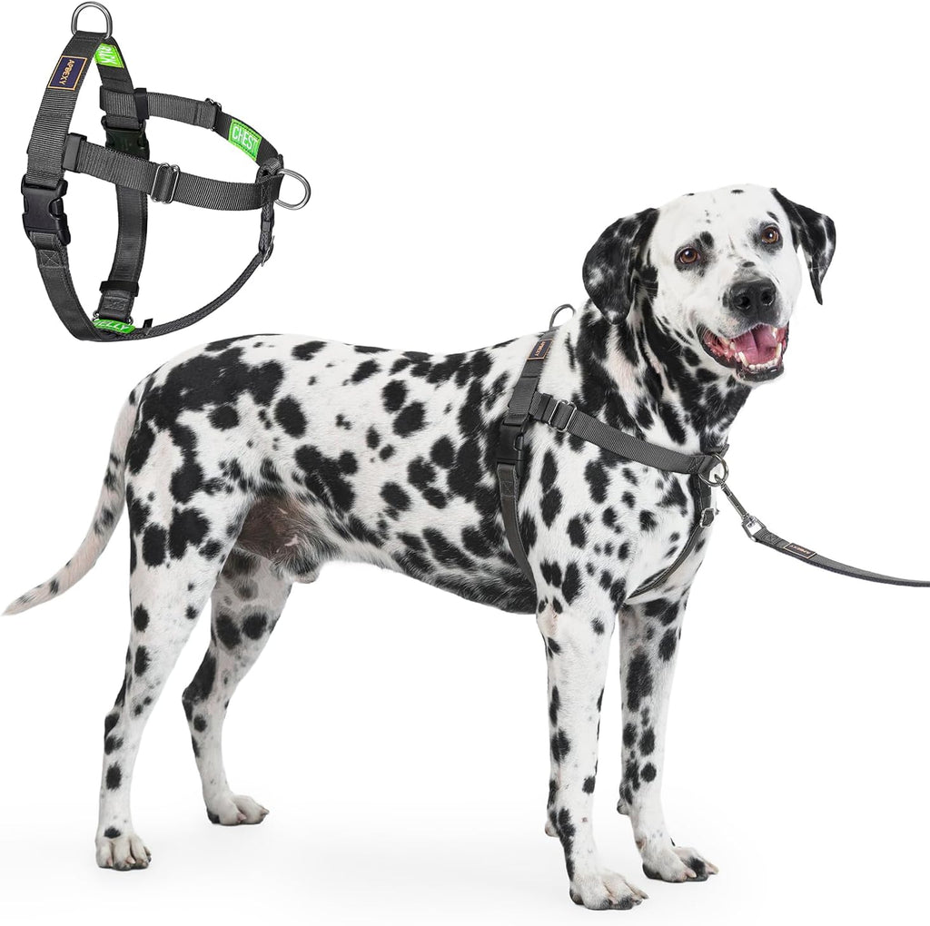 Freedom No Pull Dog Harness, Designed for Hound Dog Train, Easy Walk with 2 Stainless D-Rings, Sewn-in Instructions Tags for Easy Use, for Large Dogs Weight 60-80 lbs (Purple, L) - Image 14