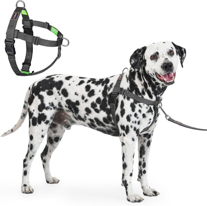 Freedom No Pull Dog Harness, Designed for Hound Dog Train, Easy Walk with 2 Stainless D-Rings, Sewn-in Instructions Tags for Easy Use, for Large Dogs Weight 60-80 lbs (Purple, L) - Image 14