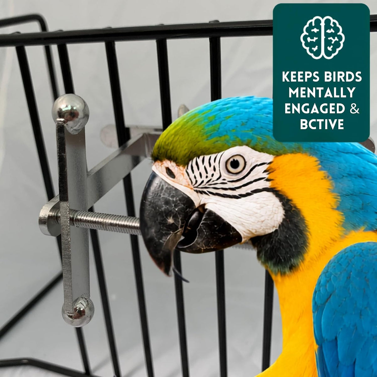 Stainless steel spinner bird toy hardware and bracket details