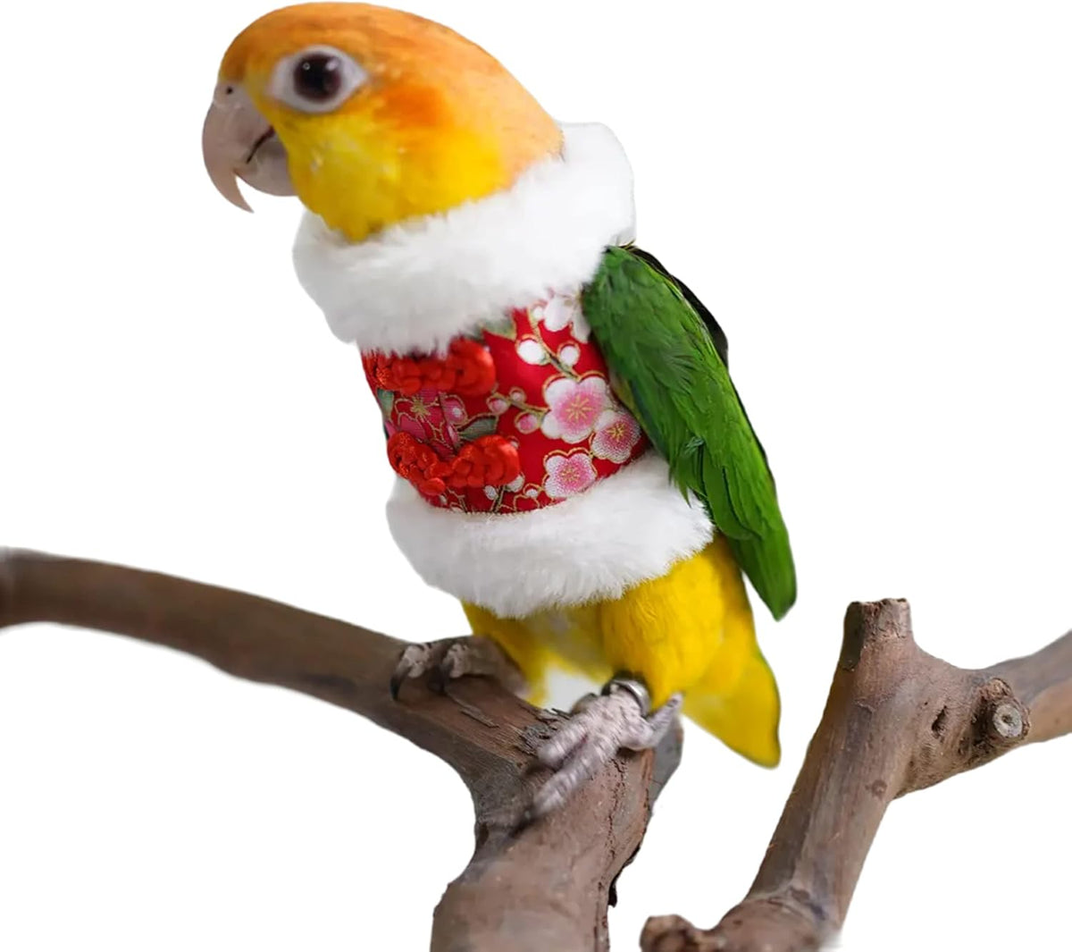Bird Costume Diaper Flight Suit Bee Shape Clothes Cosplay Photo Prop for Parrots Lovebird Budgie Parakeet Cockatiel Sun Conure, Small Animals Apparel (Bee Without Diaper, Medium), Green (BPF1) - Image 12