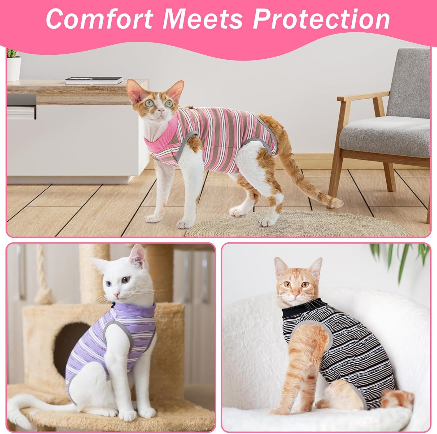 Cat resting comfortably in recovery onesie