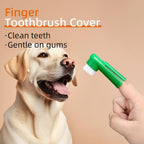Twenty piece dog and cat dental cleaning kit for pet care