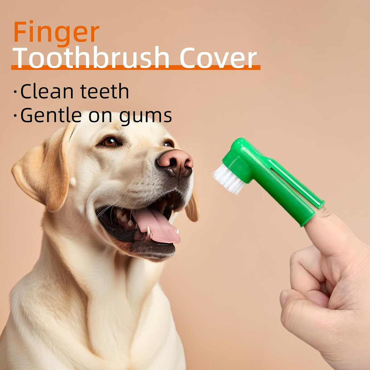 Twenty piece dog and cat dental cleaning kit for pet care