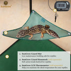 Washing and rinsing the reusable reptile floor mat with water