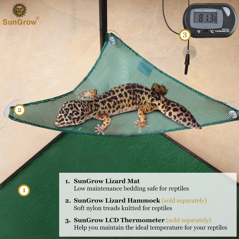 Washing and rinsing the reusable reptile floor mat with water