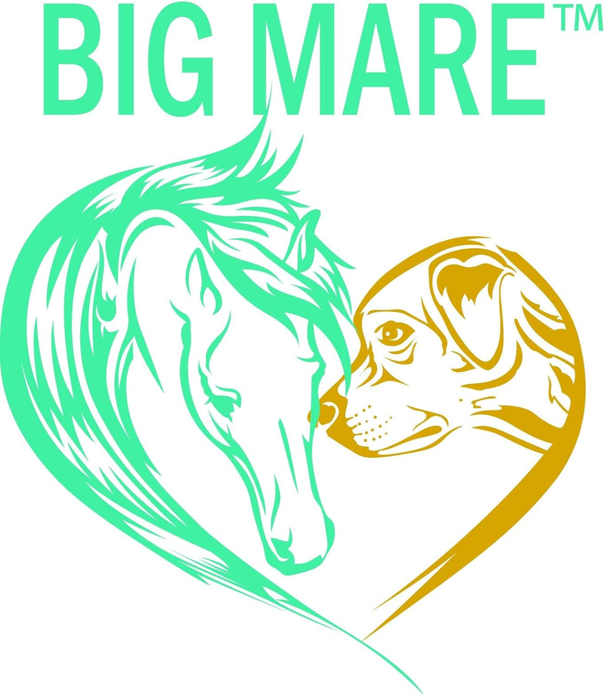 Side view of Big Mare skin and wound care bottle labels