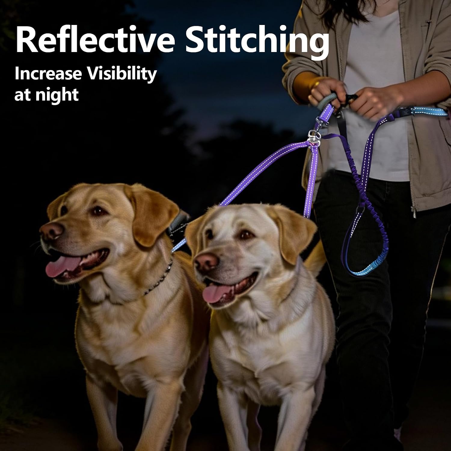 Roses&Poetry twin pet lead showcasing the dual padded safety control handles for traffic management