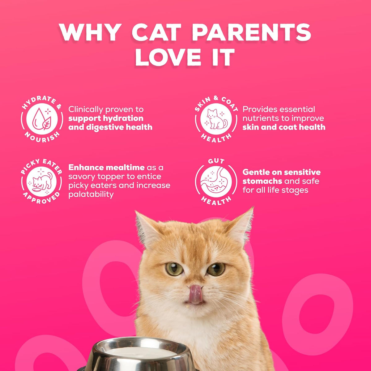 Back label details of the single ingredient liquid cat food topper displaying feeding guidelines.