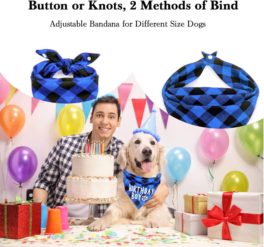 Blue plaid birthday boy triangle pet scarf showing the adjustable button design.