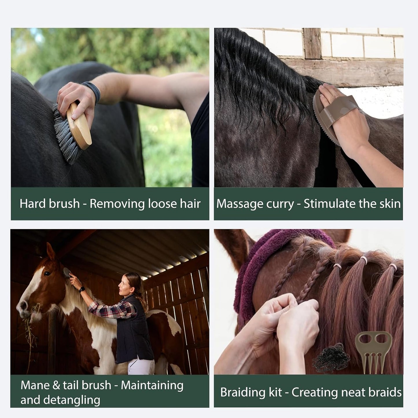 Close up of Terpup horse grooming soft and hard brushes