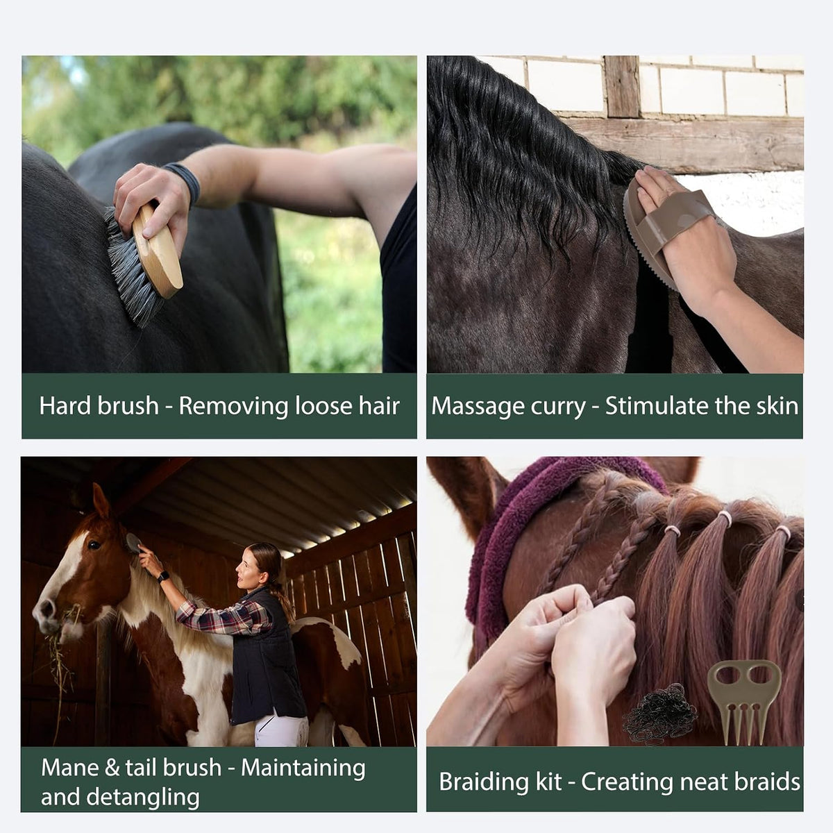 Close up of Terpup horse grooming soft and hard brushes