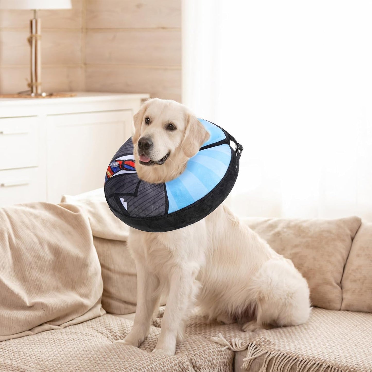 Comfortable post surgery protective pet collar with adjustable strap