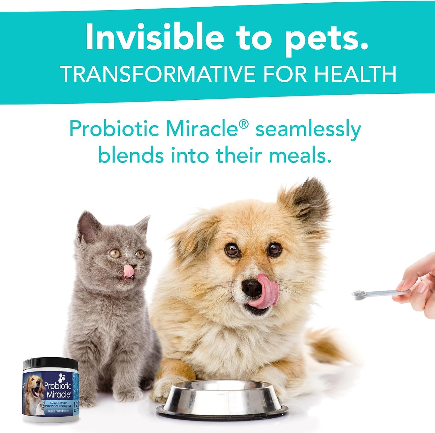 Nusentia three hundred sixty scoops immune support pet supplement