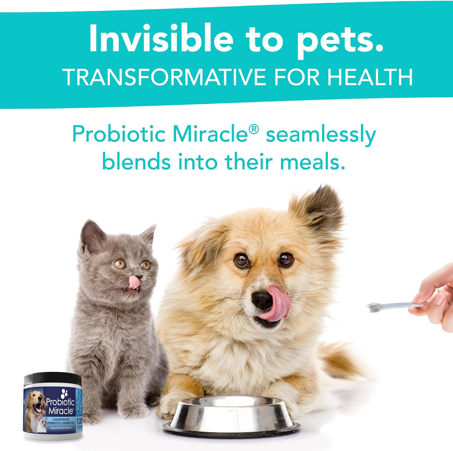 Nusentia three hundred sixty scoops immune support pet supplement