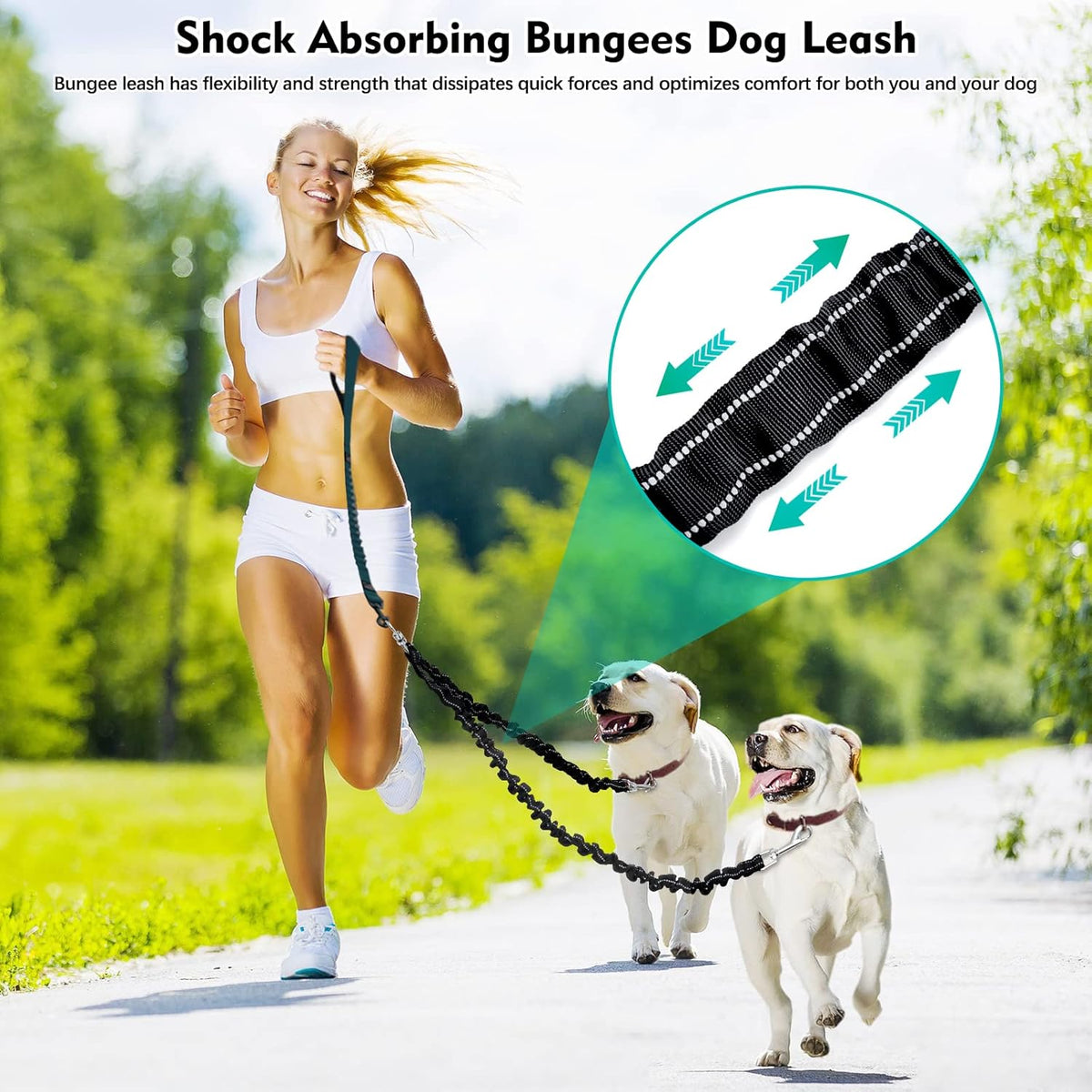 Snagle Paw dual dog lead splitter showcasing extended shock absorbing bungees