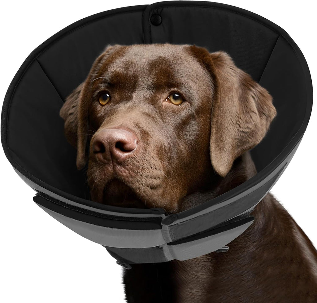 Queenmore Dog Cone XL, Soft Dog Cones for Large Dogs After Surgery, Cone for Dogs to Stop Licking, Elizabethan Collar for Pet, Alternative to Recovery Collar for Large Breeds, Blue XL - Image 11