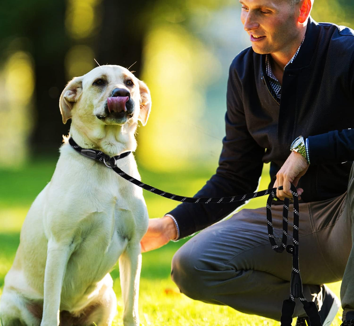 Ergonomic shock absorbing padded handle on premium dog training lead