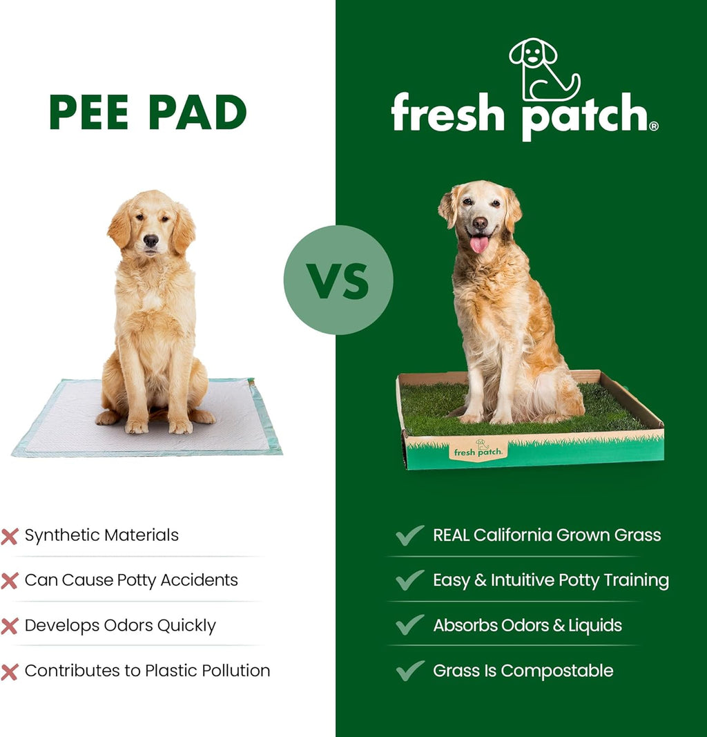Top down view of Fresh Patch dog potty training mat