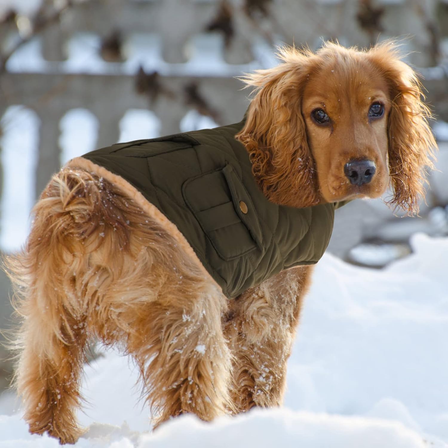 Side profile of medium green Queenmore dog winter coat