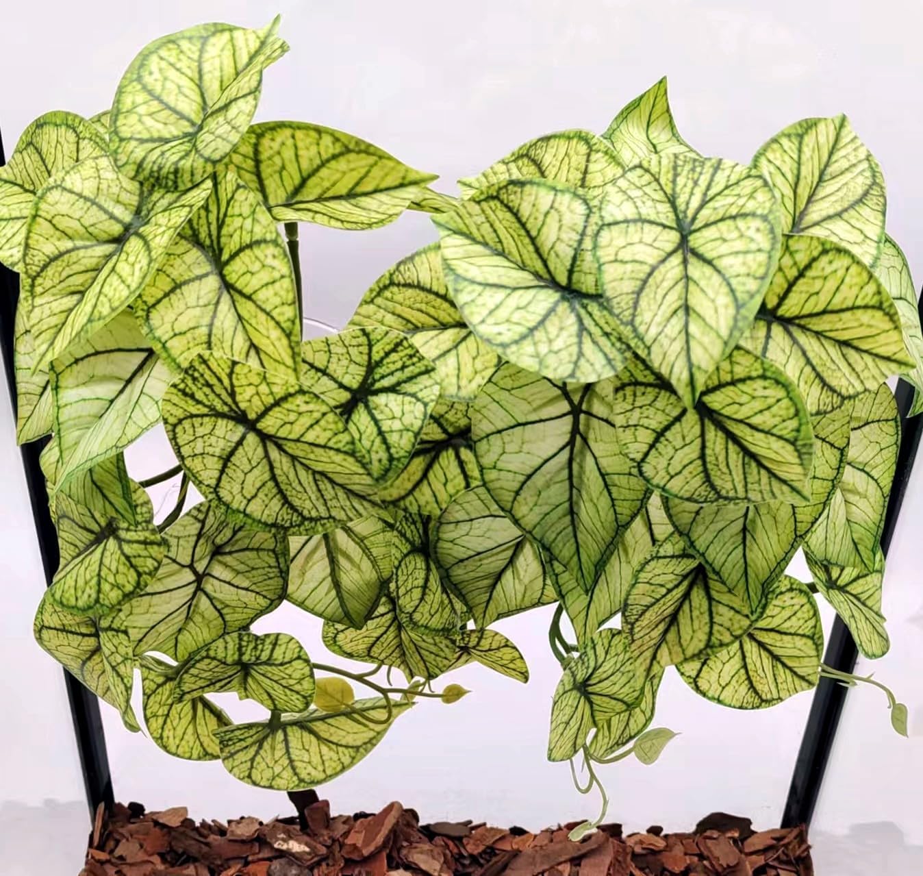 Reptile Plants for Terrarium Decor, Amphibian Habitat Decor, Snake Tank Accessories, Artificial Hanging Plants with Suction Cup-2 Packs (Fake Monstera) - Image 9