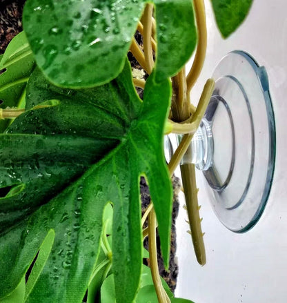 Green fake monstera leaves for snake tank decoration