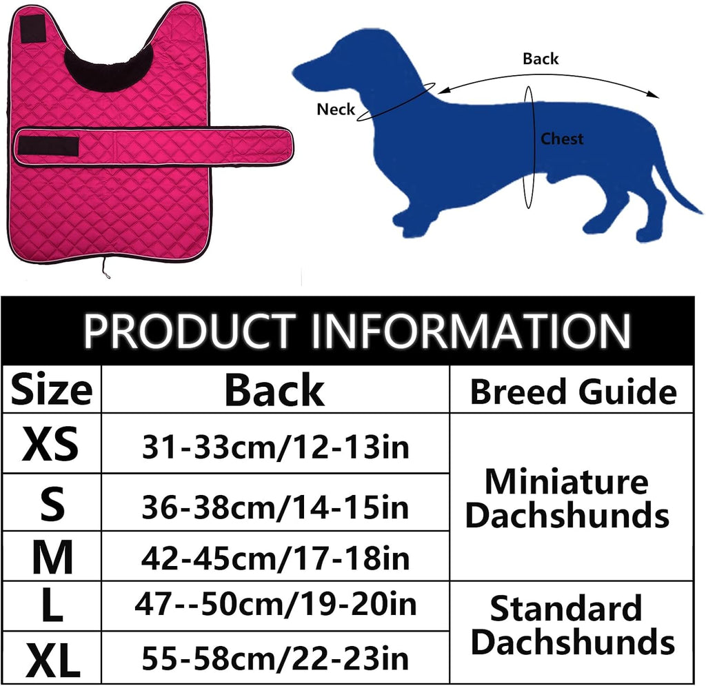 Close up of reflective piping on pink dog coat
