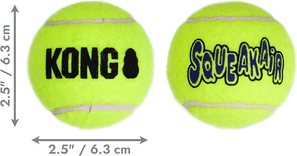 Dog playing with KONG SqueakAir fetch ball outdoors