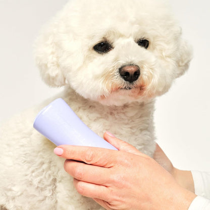 Ergonomic palm friendly dog brush for light shedding small breeds