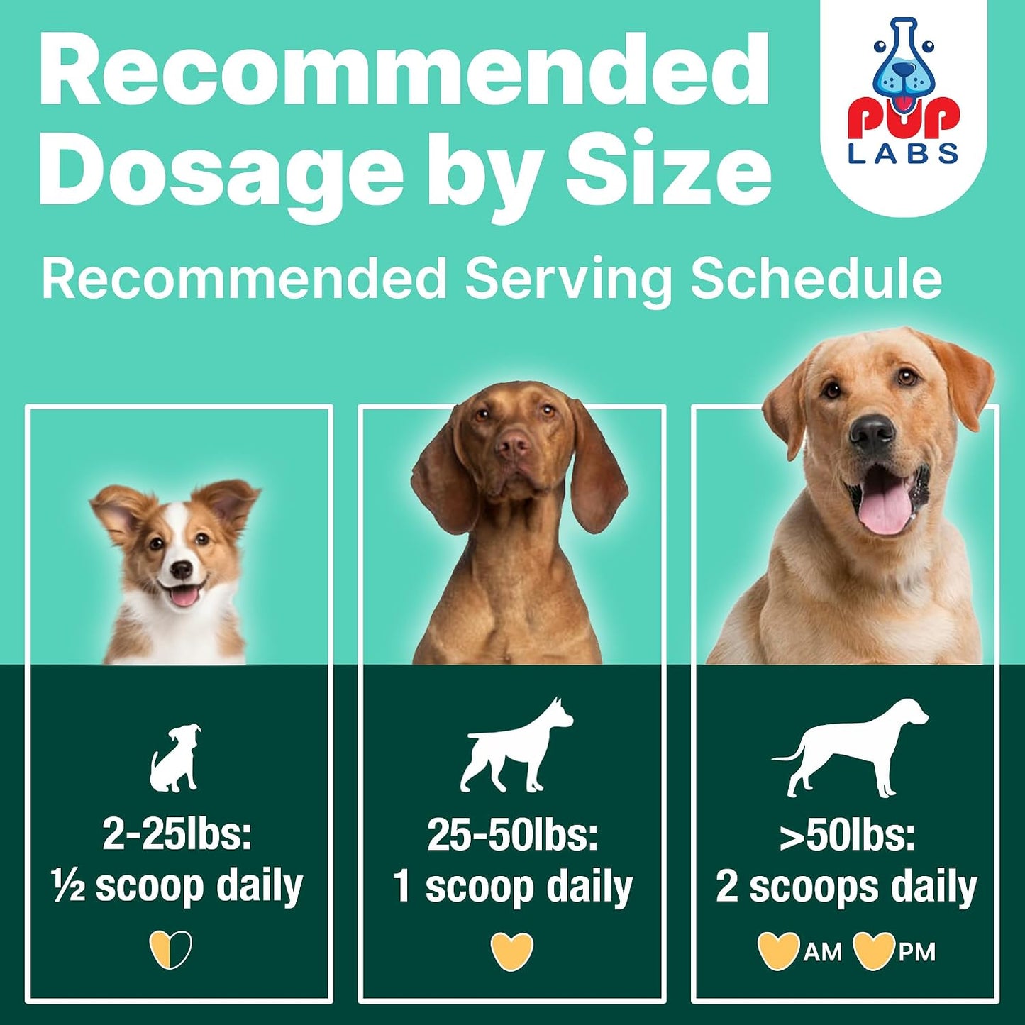Pup Labs ProDenta fresh breath supplement container showing daily dosage guide