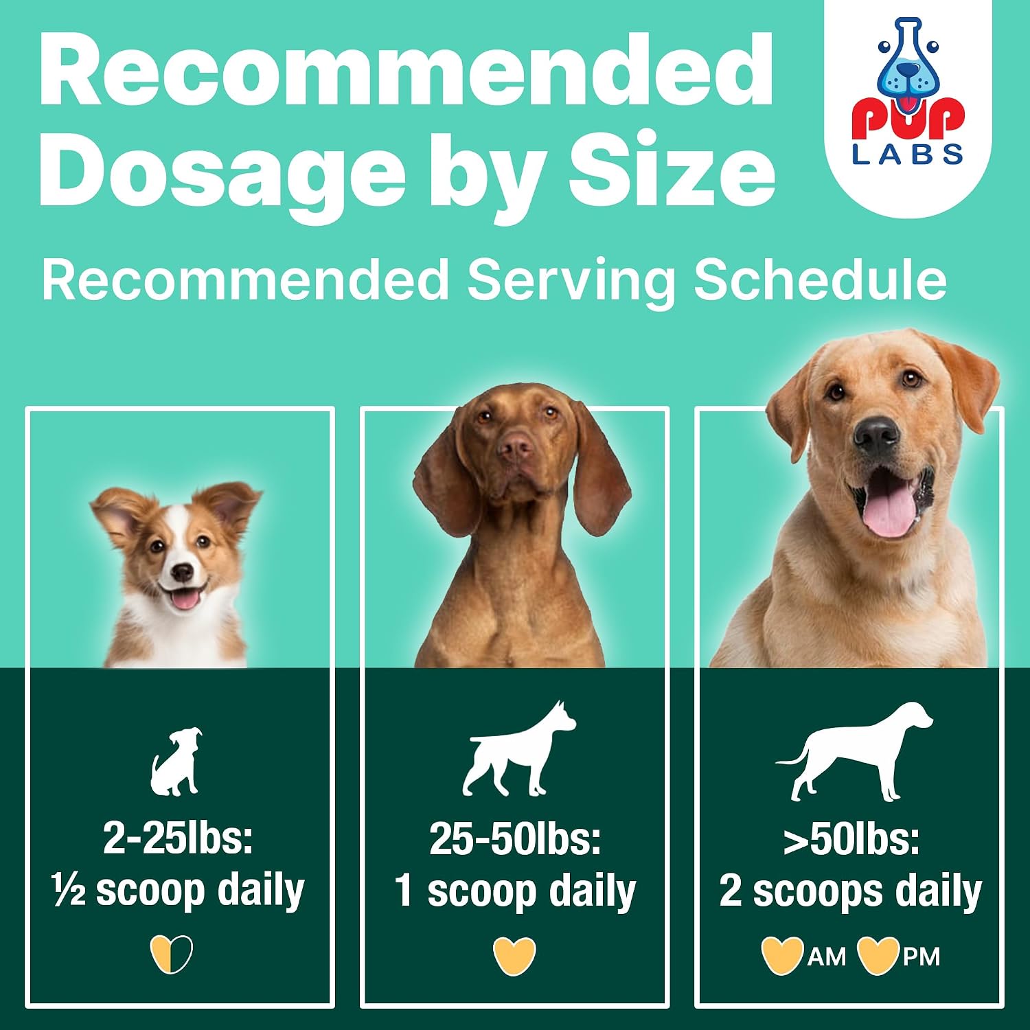 Pup Labs ProDenta fresh breath supplement container showing daily dosage guide