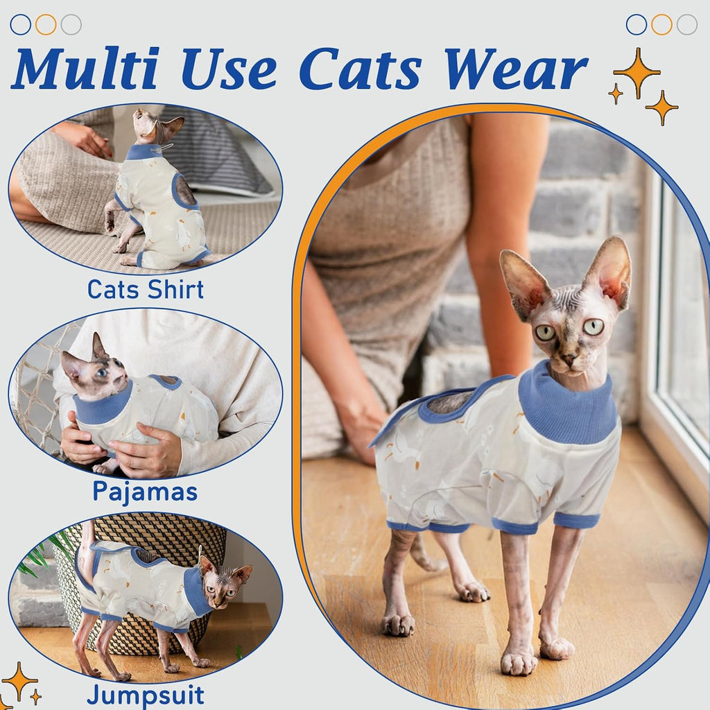 Instructions for fitting Dentrun recovery shirt on a kitten