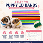 Kewen dog delivery equipment record keeping charts and sterile cord clips