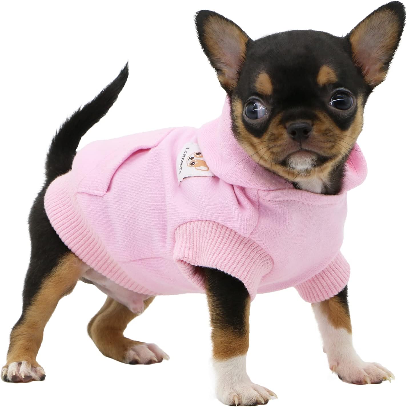 LOPHIPETS Dog Cotton Hoodies Sweatshirts for Small Dogs Chihuahua Puppy Clothes Cold Weather Coat-Cambridge Blue/XXS - Image 12