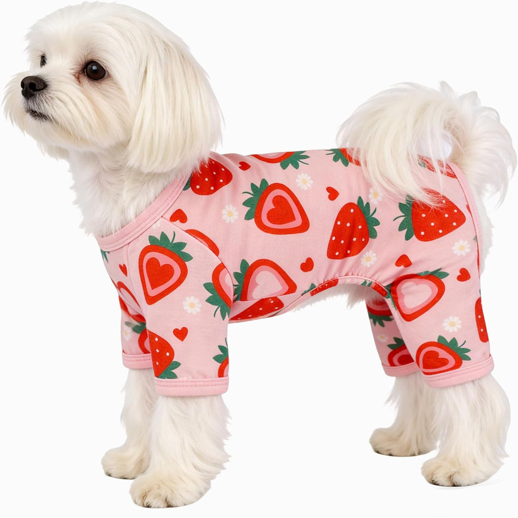 Small Chihuahua wearing the X-Small size dinosaur printed pet pajamas while lounging.