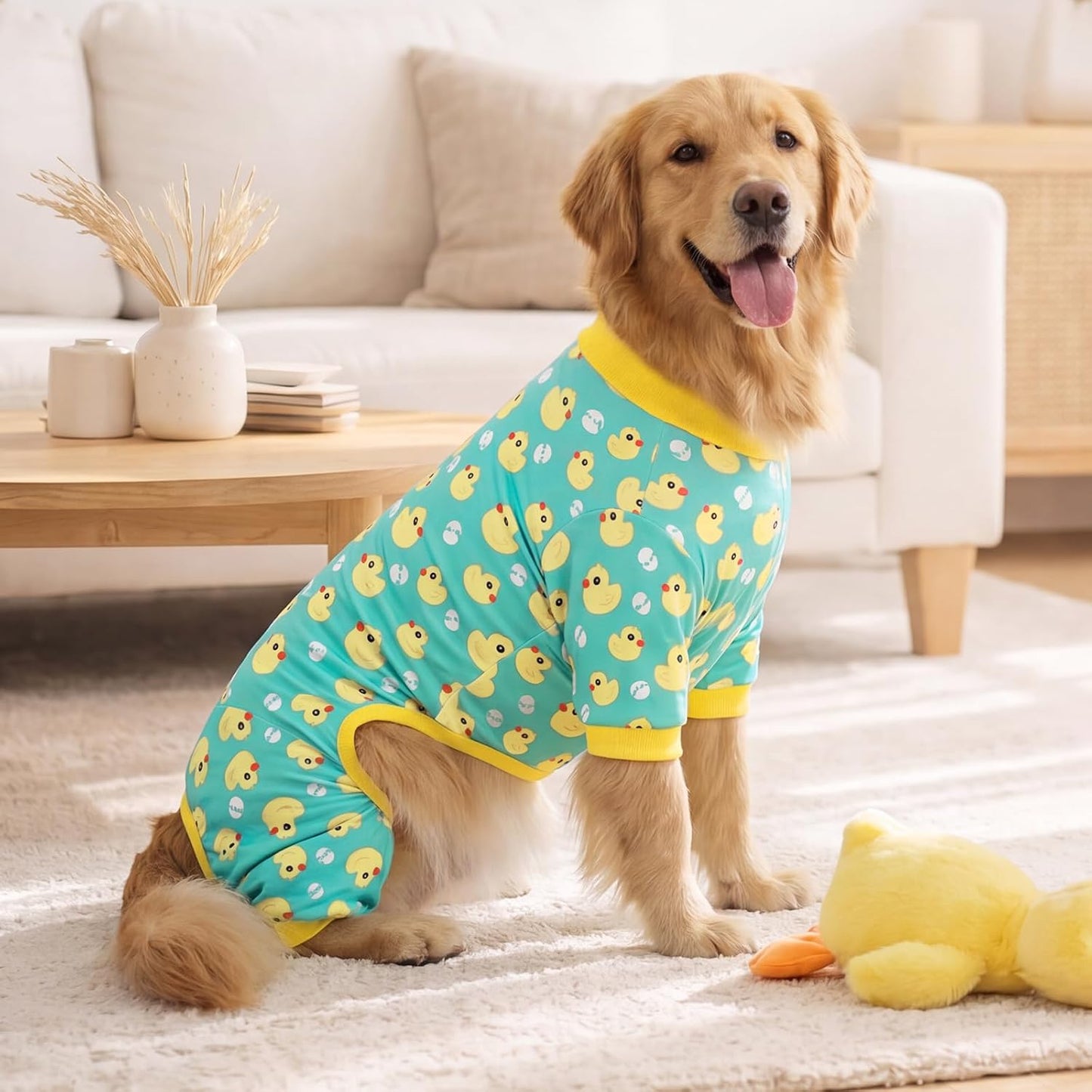 XPUDAC premium quality dual pack pet clothing collection packaging