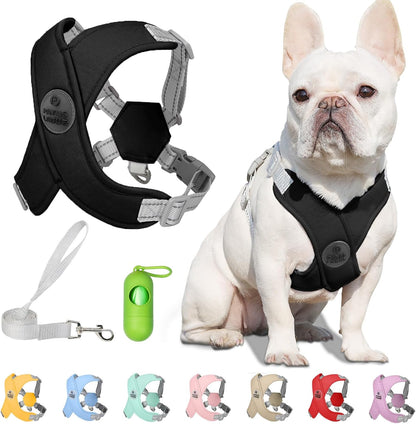 Patas Lague Dog Harness with Leash Set Adjustable Soft Padded Step-in Dog Vest No Choke No Pull Reflective for Small Medium Pets with Poop Bags and Dispenser, Solid and No-chew, Pink M - Image 14