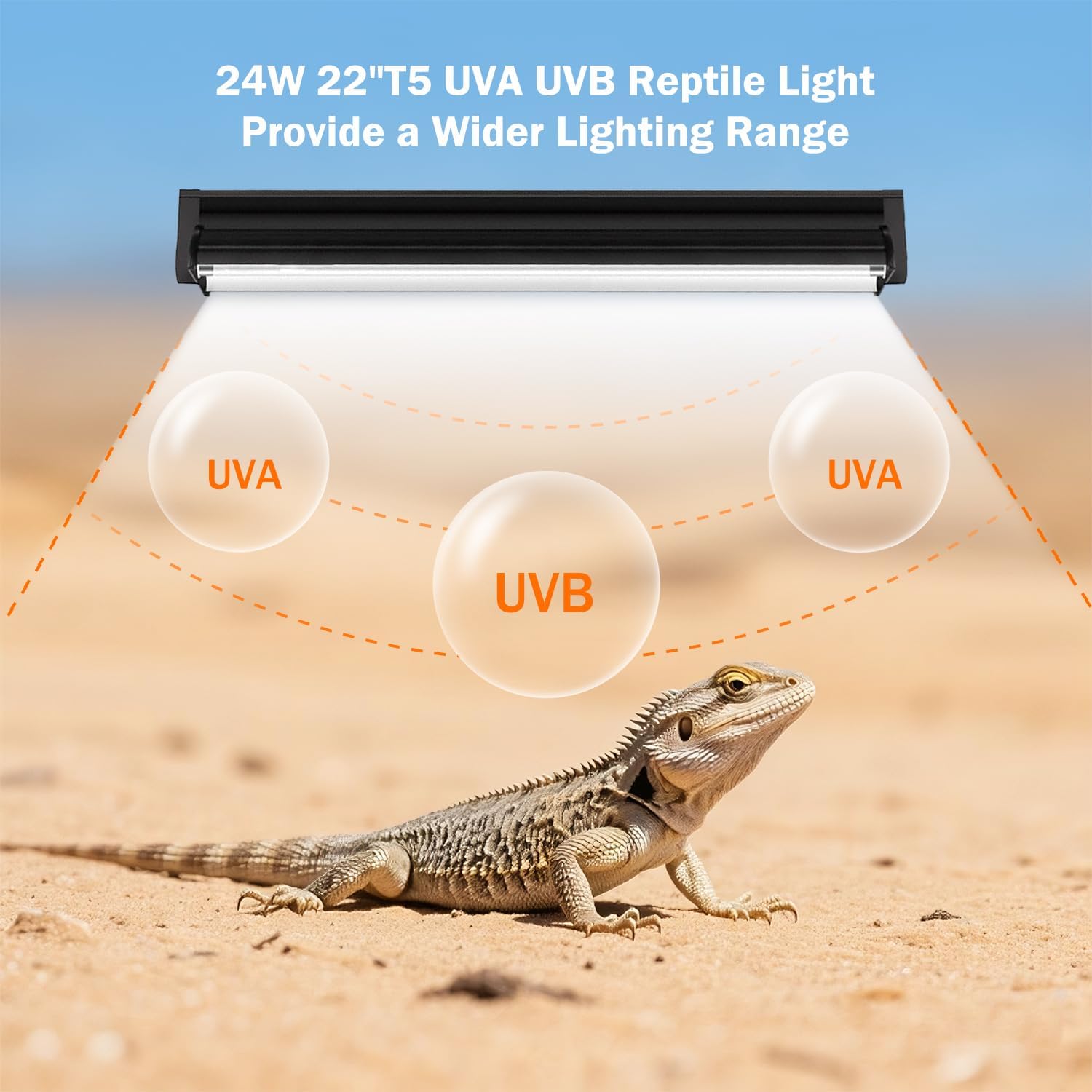Homnebila T5 high output terrarium hood lighting setup for bearded dragons.