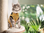 Cat in tiger print surgery suit resting