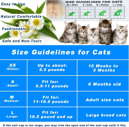 THE DDS STORE VICTHY blue cat nail covers being measured for fit on a kitten paw
