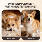 Authentic USA pet wellness product packaging highlighting the wild Alaskan salmon oil formula.