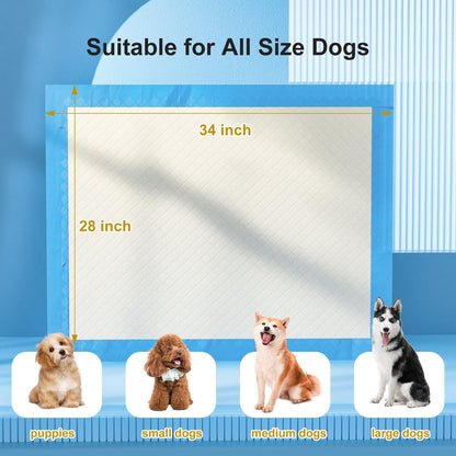 Gardner Pet full edge wrapping pet pads spread on the floor for training