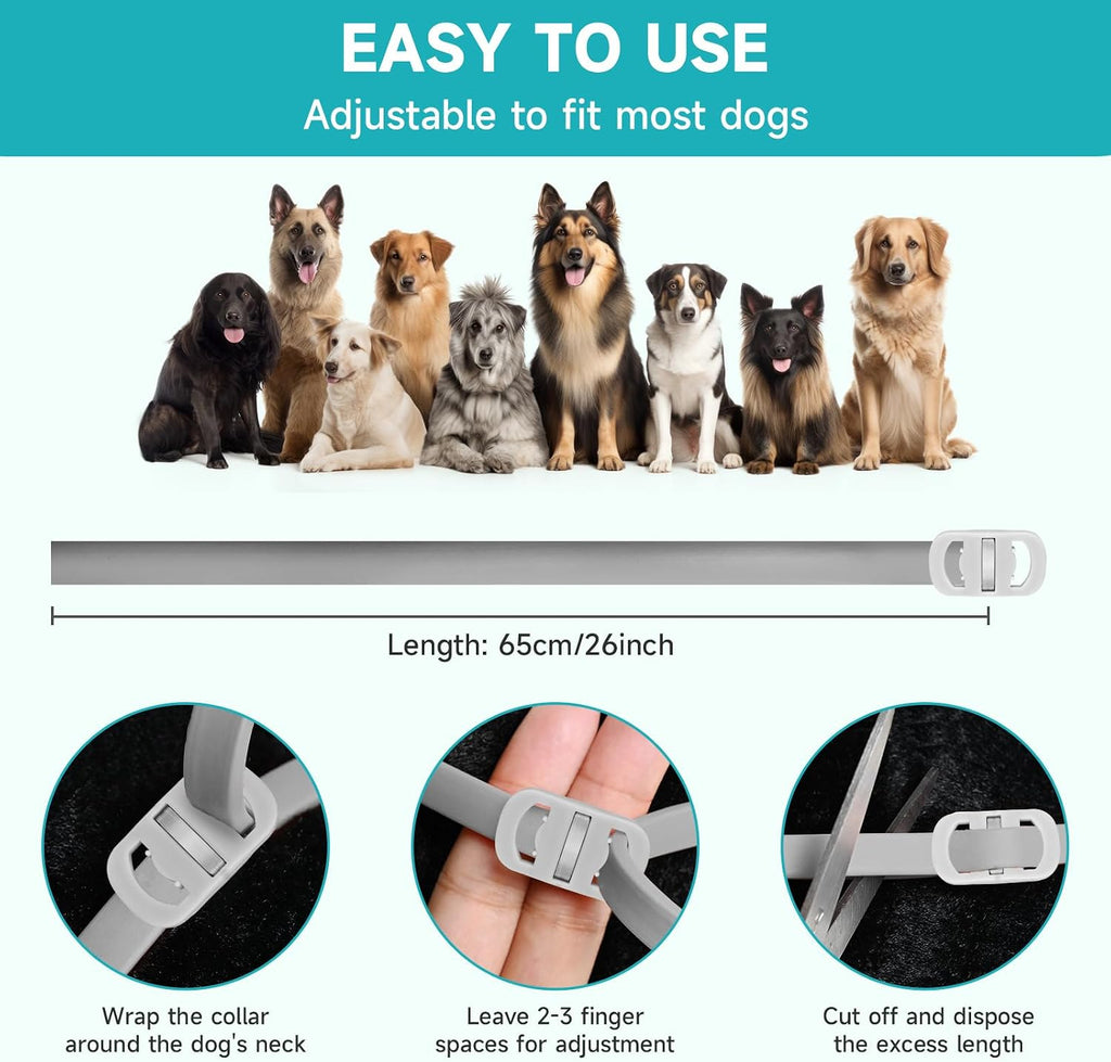 Dog wearing Woyamay flea and tick prevention collar