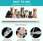 Dog wearing Woyamay flea and tick prevention collar