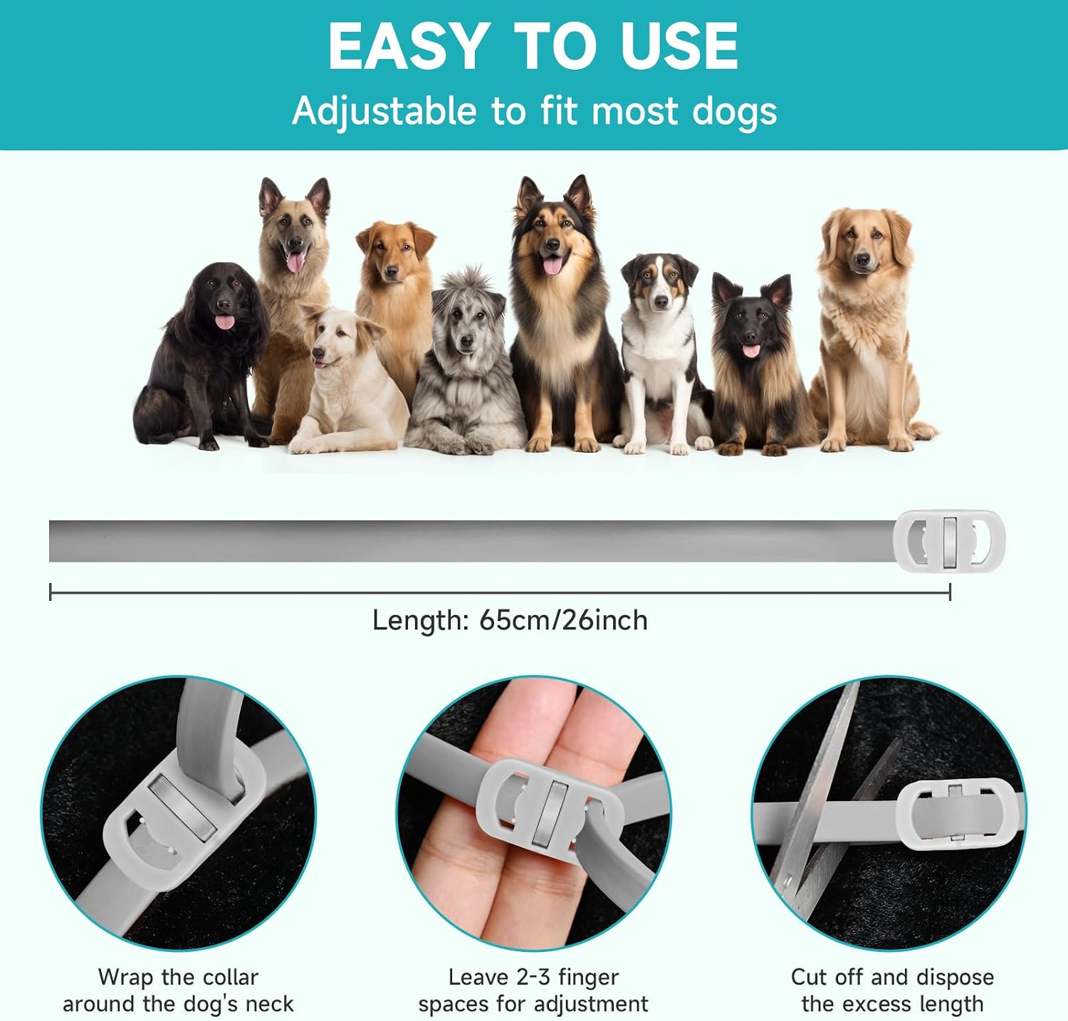 Dog wearing Woyamay flea and tick prevention collar